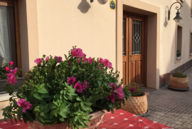 House for sale in Gometxa