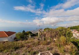 Mixed Building with Ruins - Funchal