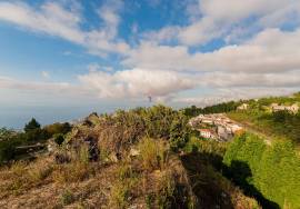 Mixed Building with Ruins - Funchal