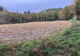 Accessible and sunny, almost flat farmland for sale