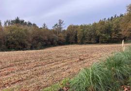 Accessible and sunny, almost flat farmland for sale