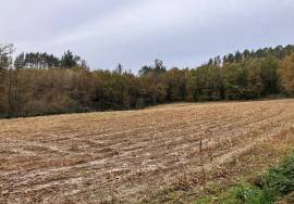 Accessible and sunny, almost flat farmland for sale