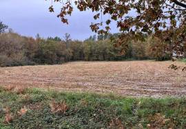 Accessible and sunny, almost flat farmland for sale