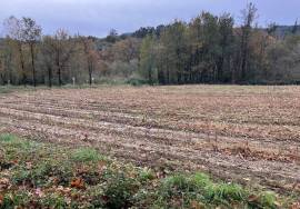 Accessible and sunny, almost flat farmland for sale