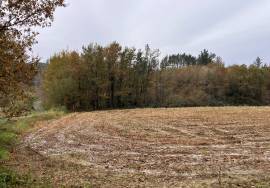 Accessible and sunny, almost flat farmland for sale