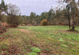 Land of 7,800 m2 of affordable cultivation for sale