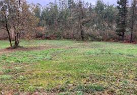 Land of 7,800 m2 of affordable cultivation for sale