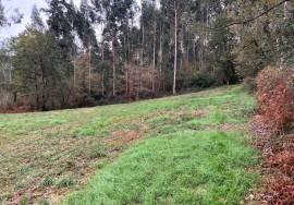 Land of 7,800 m2 of affordable cultivation for sale