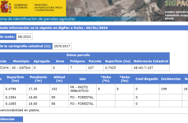 Land of 7,800 m2 of affordable cultivation for sale