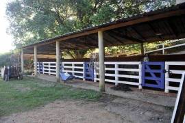 Fazenda Monte Alegre/Brasil en venta BR102