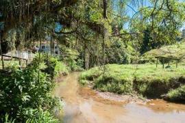 Granja lechera próspera en una ubicación de ensueño en Brasil BR101