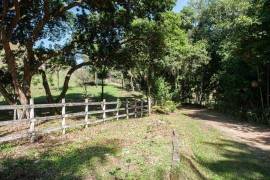 Granja lechera próspera en una ubicación de ensueño en Brasil BR101