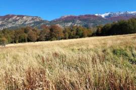 Grande appezzamento di terreno nella regione di Aysén, Patagonia