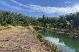 Nearly 7 Rai of Land for Sale in Thaimueang, Phangnga