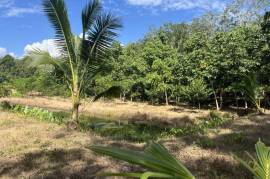 Nearly 7 Rai of Land for Sale in Thaimueang, Phangnga