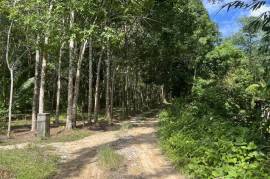 Nearly 7 Rai of Land for Sale in Thaimueang, Phangnga