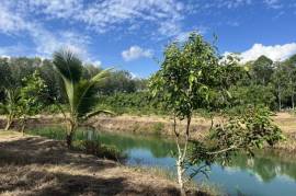 Nearly 7 Rai of Land for Sale in Thaimueang, Phangnga