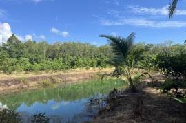 Nearly 7 Rai of Land for Sale in Thaimueang, Phangnga