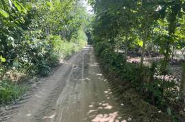 Nearly 7 Rai of Land for Sale in Thaimueang, Phangnga