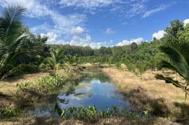 Nearly 7 Rai of Land for Sale in Thaimueang, Phangnga