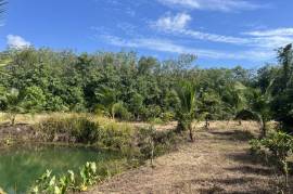 Nearly 7 Rai of Land for Sale in Thaimueang, Phangnga