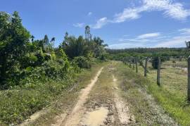 11.5 Rai of Land for Sale in Thaimueang, Phangnga