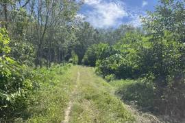 11.5 Rai of Land for Sale in Thaimueang, Phangnga