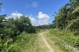 11.5 Rai of Land for Sale in Thaimueang, Phangnga