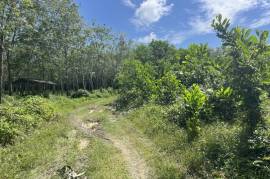 11.5 Rai of Land for Sale in Thaimueang, Phangnga