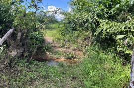 10 Rai Rubber Plantation with Mountain Views Land for Sale in Lo Yung, Phangnga