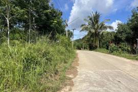 10 Rai Rubber Plantation with Mountain Views Land for Sale in Lo Yung, Phangnga