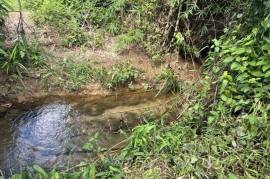 10 Rai Rubber Plantation with Mountain Views Land for Sale in Lo Yung, Phangnga