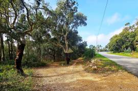 Mixed Land with Ruin for Sale in Marmelete - Monchique