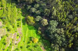 Mixed Land with Ruin for Sale in Marmelete - Monchique