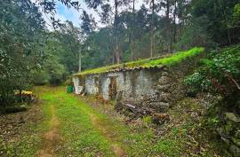 Mixed Land with Ruin for Sale in Marmelete - Monchique