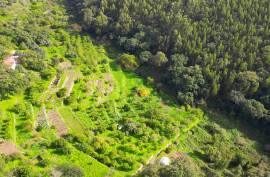 Mixed Land with Ruin for Sale in Marmelete - Monchique