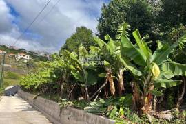 Land for sale in Calheta