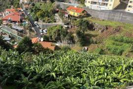 Land for sale in Calheta