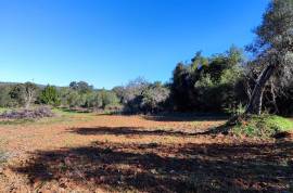 Culture land with 2500 m2 in Palmeiros - Loulé