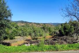 Culture land with 2500 m2 in Palmeiros - Loulé