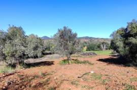 Culture land with 2500 m2 in Palmeiros - Loulé