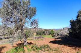 Culture land with 2500 m2 in Palmeiros - Loulé