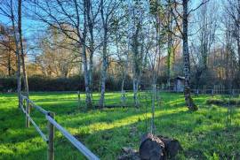 3 Bedrooms - Land - Limousin - For Sale