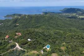 Pacific Heights Double Pad Lot: Spectacular Lot with Panoramic Ocean and Mountain Views!