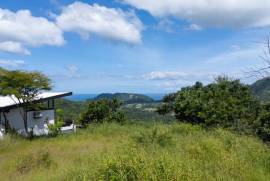 Pacific Heights Double Pad Lot: Spectacular Lot with Panoramic Ocean and Mountain Views!