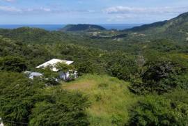 Pacific Heights Double Pad Lot: Spectacular Lot with Panoramic Ocean and Mountain Views!