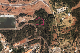 Land 13950m2 - Santa Cruz