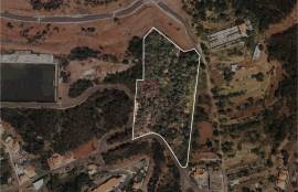 Land 13950m2 - Santa Cruz