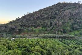 Rural land Málaga