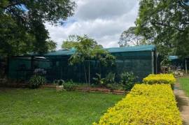 Stunning 4 Bed Farmhouse For Sale In Shere Pretoria South